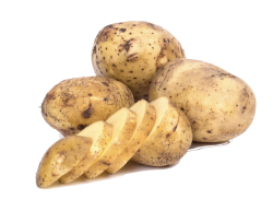 aardappelen